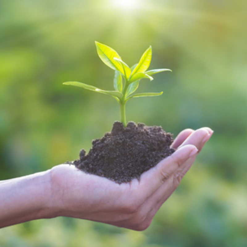 Cays gestion environnementale